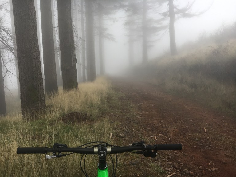 Foggy times on Pico Alto